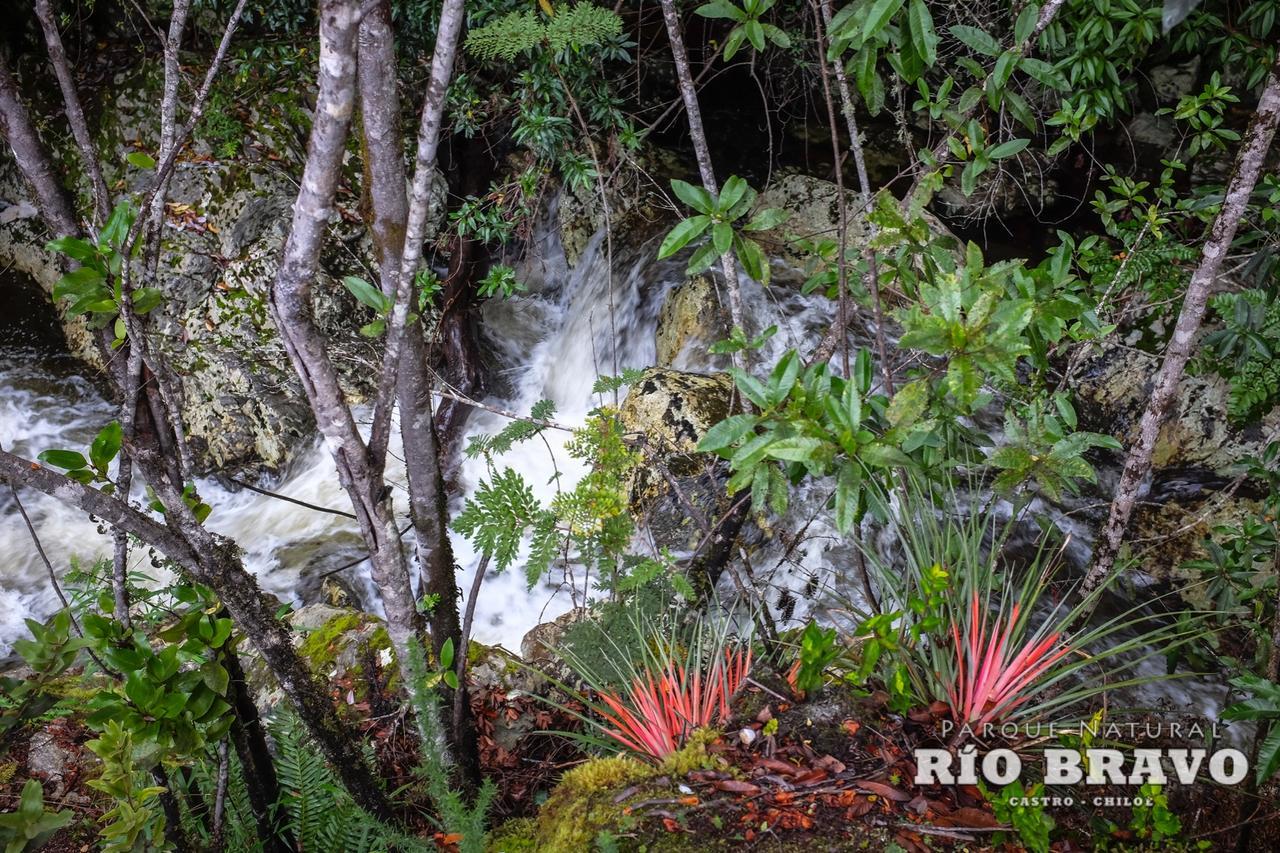 Parque Natural Rio Bravo Lodge Castro Eksteriør bilde