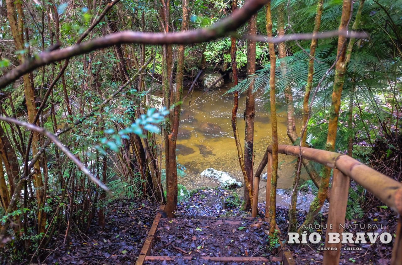 Parque Natural Rio Bravo Lodge Castro Eksteriør bilde
